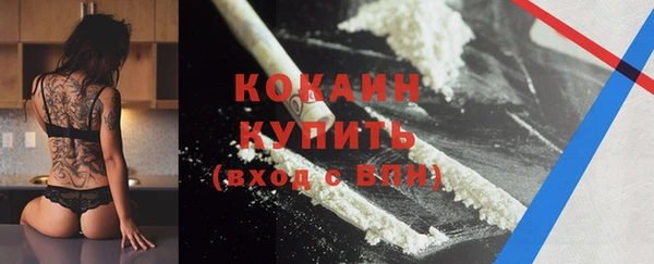 сатива Абаза