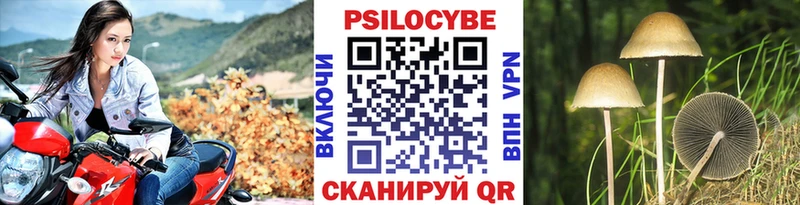 Псилоцибиновые грибы мицелий  купить наркоту  Исилькуль 