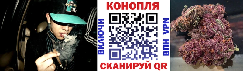 хочу   Исилькуль  Шишки марихуана гибрид 